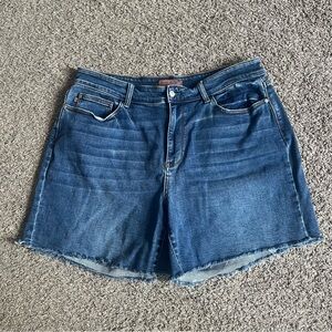 Judy Blue Medium Wash Denim Stretch Shorts Size 2XL Cutoff High Waisted Comfort